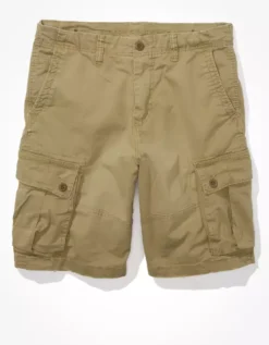 AE Flex 10" Lived-In Cargo Short 5 AE Flex 10" Lived-In Cargo Short -Top Men Apparel 0131 7337 238 f