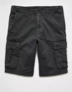 AE Flex 12" Lived-In Longer Length Cargo Short -Top Men Apparel 0132 7280 167 f