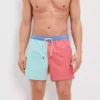 AE 5.5" Colorblock Swim Trunk