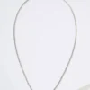 AEO Silver Chain Necklace