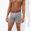 AEO Eagles 6" Classic Boxer Brief