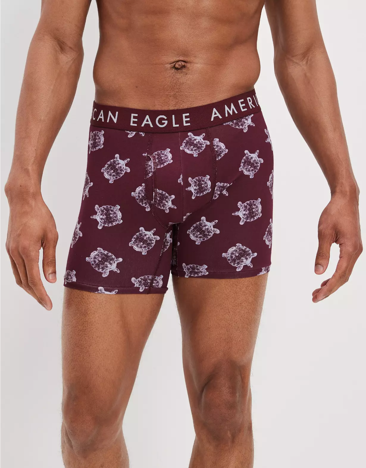 AEO Glass Turtles 6" Classic Boxer Brief 1 AEO Glass Turtles 6" Classic Boxer Brief