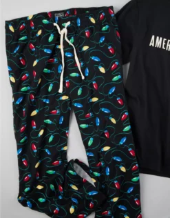 AE Printed Flannel PJ Pant
